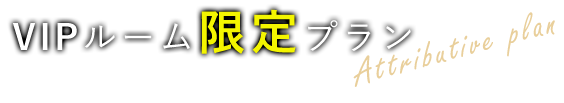 VIPルーム限定プラン