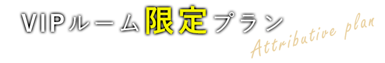 VIPルーム限定プラン